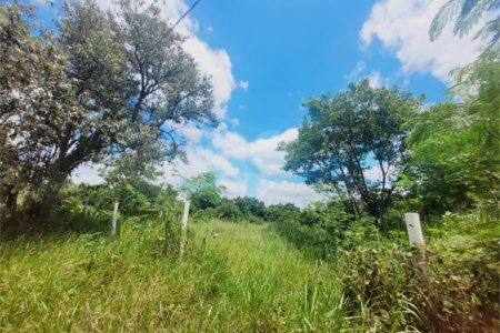Lote à Venda – Oportunidade! 1.000 m² – Recanto Campestre Internacional de Viracopos (Gleba 4) – Indaiatuba/SP