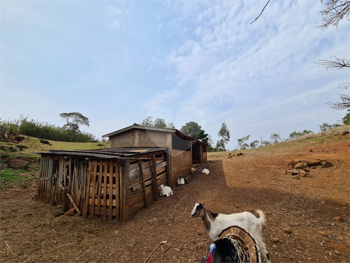 Ribeirão Grande - Bairro ferreira dos Matos - Sítio de 30.000 metros - R$ 600.000,00