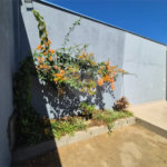 Dois imóveis em um terreno de 300 m² (12 x 25) - Com acesso independente