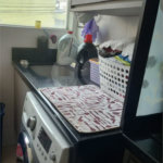 Apartamento à venda com 2 quartos em Vila Guilherme, São Paulo, SP