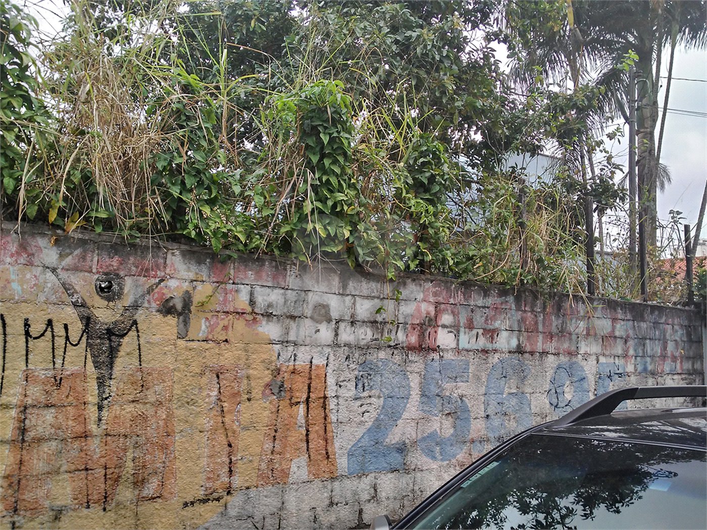 Terreno Barro Branco
