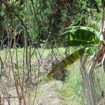 Chácara à venda com 4 quartos em Área Rural de Louveira, Louveira, SP