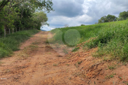 GLEBAS RURAIS EM PIRACAIA A PARTIR 20.000 M², EXCELENTE PARA CHÁCARAS E FAZENDINHAS