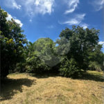 Excelente oportunidade no condomínio Vale das Laranjeiras, em Indaiatuba/SP. - R$ 1.850.000,00 - Terreno de 3.000 m²), com frente de 50 metros, proporcionando diversas possibilidades de projeto. O lote possui ótima localização dentro do condomínio, rodeado de natureza e com fácil acesso