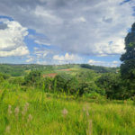 Terreno à venda em Arataba II, Louveira, SP