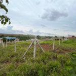 Belo terreno Terras de Treviso em Piracicaba