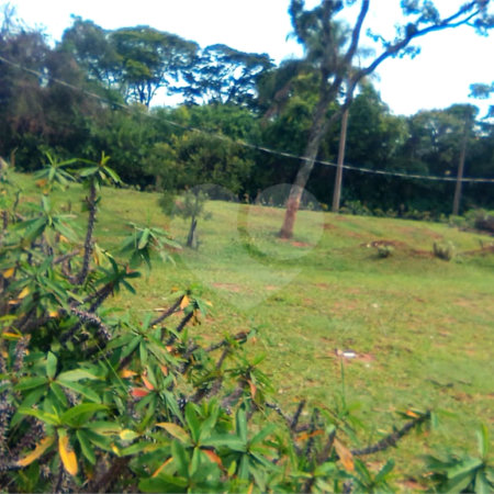 Terreno em Água Vermelha