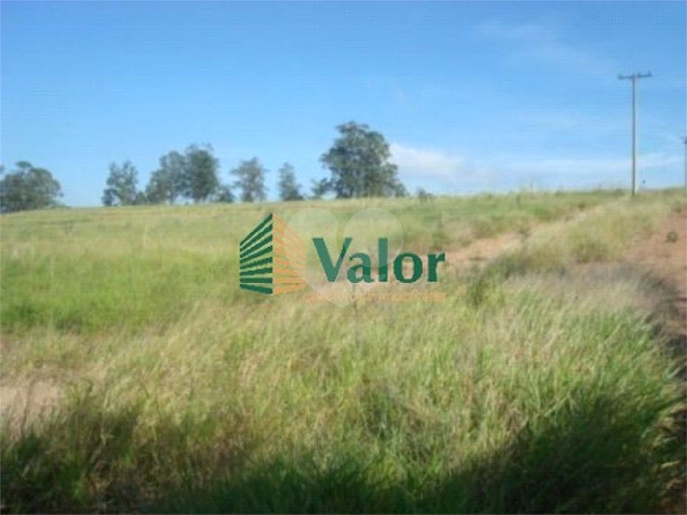 Sitio Rural São Carlos