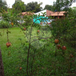 Chácara no Aracê de Santo Antônio, ótima oportunidade de negócio