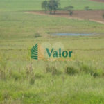 Sitio Rural São Carlos