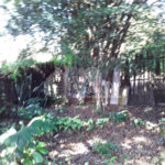 Terreno com 850,00 m²