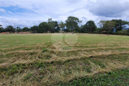 Loteamento Residencial no Condomínio Vila Pinhal do Broa.