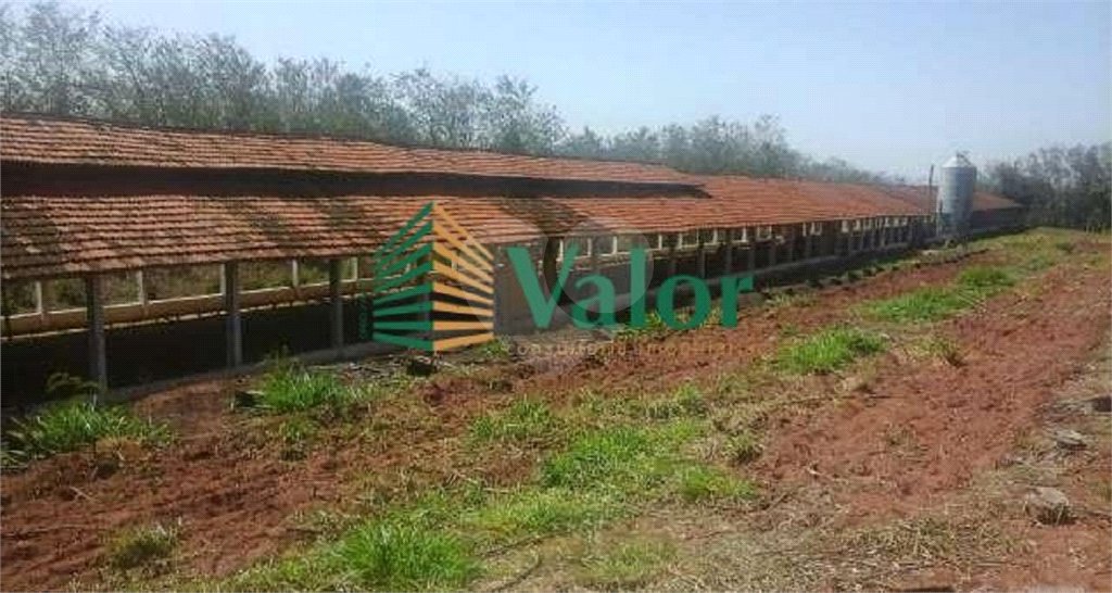 Sítio Estrada São Carlos Ribeirão - próximo São Carlos