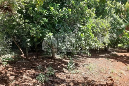 Sitio São João - Km 258