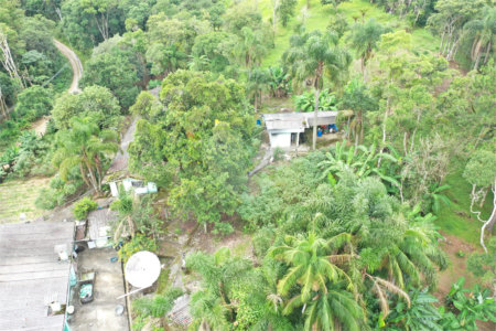 Tapiraí Sp - Sítio Santa Clara - Area de 12,1 ha - composto por casa principal, galpões poço artesiano, ótima área para plantios. Fica localizado a aproximadam. 1 quilômetro da prefeitura. Area preservação permanente- 4,6 ha - Area aproveitável - 4,6 ha - area utilizada rural - 2,5 ha -R$ 750.000,00