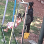 Chácara com 750m² , 4 dormitórios , sendo 1 suíte , 50 vagas , à venda em Santo André.