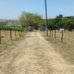 Excelente Sítio à Venda em Monte Mor – SP