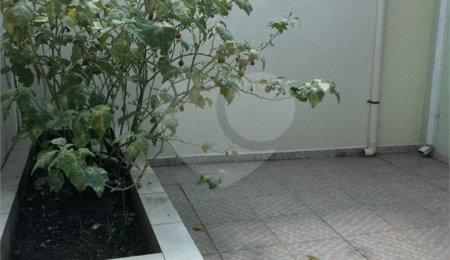 Casa Térrea para alugar com 2 quartos em Jardim São Paulo(zona Norte), São Paulo, SP