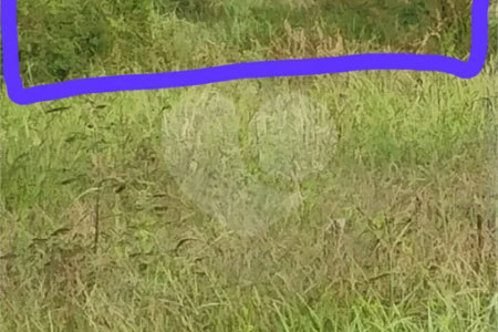 Sítio em Monte Mor (SP) a venda.