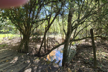 Sítio à venda com 7 alqueires, em Serra do Capetinga, Itapeva - MG