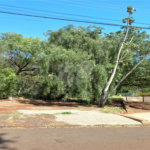 Apartamento a venda