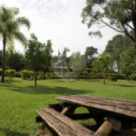 Fazenda à venda com 11 quartos no Centro, Analândia, SP