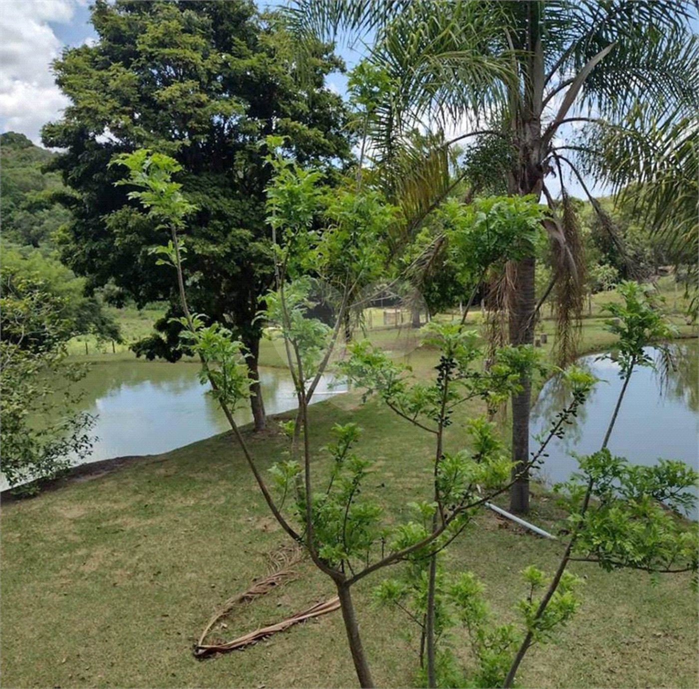 Excelente imóvel rural na cidade de Piedade/SP