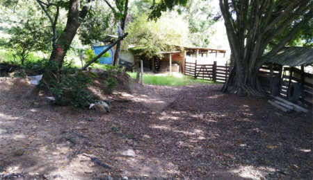 Sítio à venda com 4 quartos em Área Rural de São João da Boa Vista, São João da Boa Vista, SP