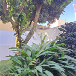 Casa térrea disponível para venda ou locação no cidade jardim