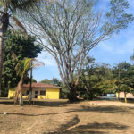 Chácara dos Sonhos à Venda – São Carlos/SP – Recreio Campestre