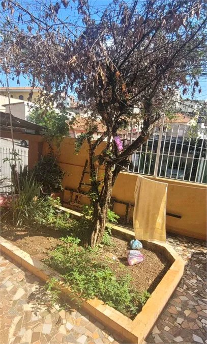 Casa Térrea à venda com 2 quartos em Butantã, São Paulo, SP
