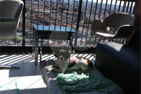 Apartamento à Venda na Mooca – 88m²