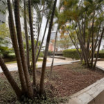 Apartamento Moema – 3 Dormitórios - Ar Condicionado - 80 mts², 2 Vagas