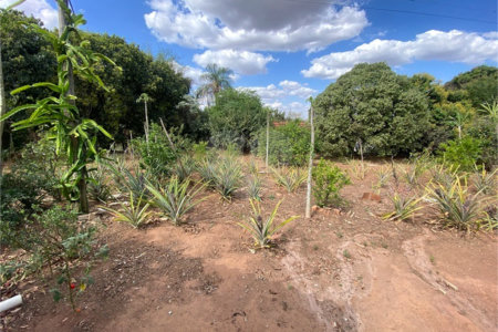 Excelente sitio para venda.