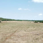 Fazenda à venda em Zona Rural, Balsas, MA