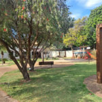 Linda Casa 3 dormitórios com piscina - R$ 950.000,00