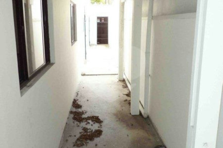 Prédio à venda ou para alugar em Planalto Paulista, São Paulo, SP
