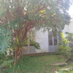 Imponente Casarão no Centro de São Carlos