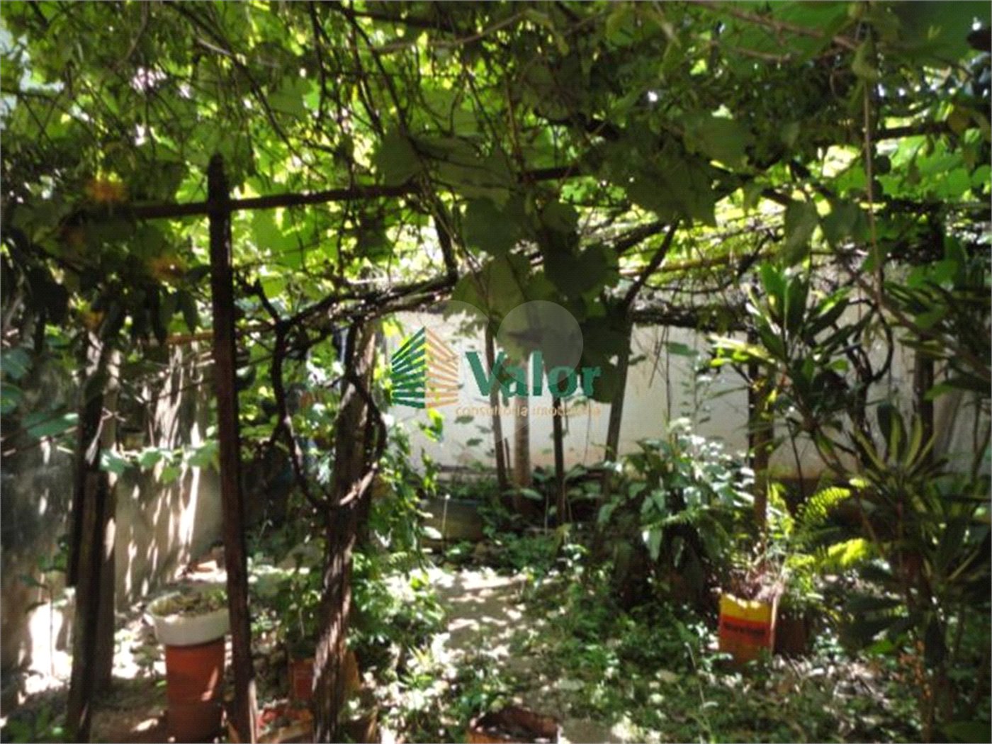 Cada térrea