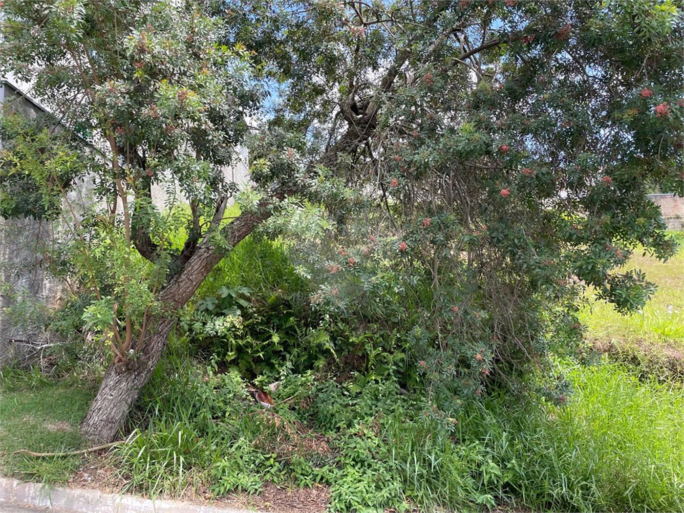 Terreno à venda em Villaggio Capríccio, Louveira, SP