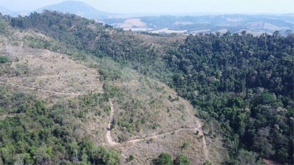 FAZENDA FORTALEZA, Caldas - MG
