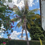 Casa à Venda na Vila Rezende – Piracicaba/SP - Ideal para moradia ou investimento comercial (clínicas, escritórios, consultórios