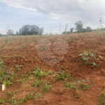 Terreno no Parque dos Pássaros .