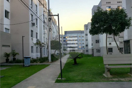 APE NOVINHO EM CACHAMORRA