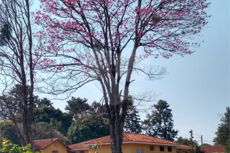 Chácara em água vermelha, localizada em ponto comercial.