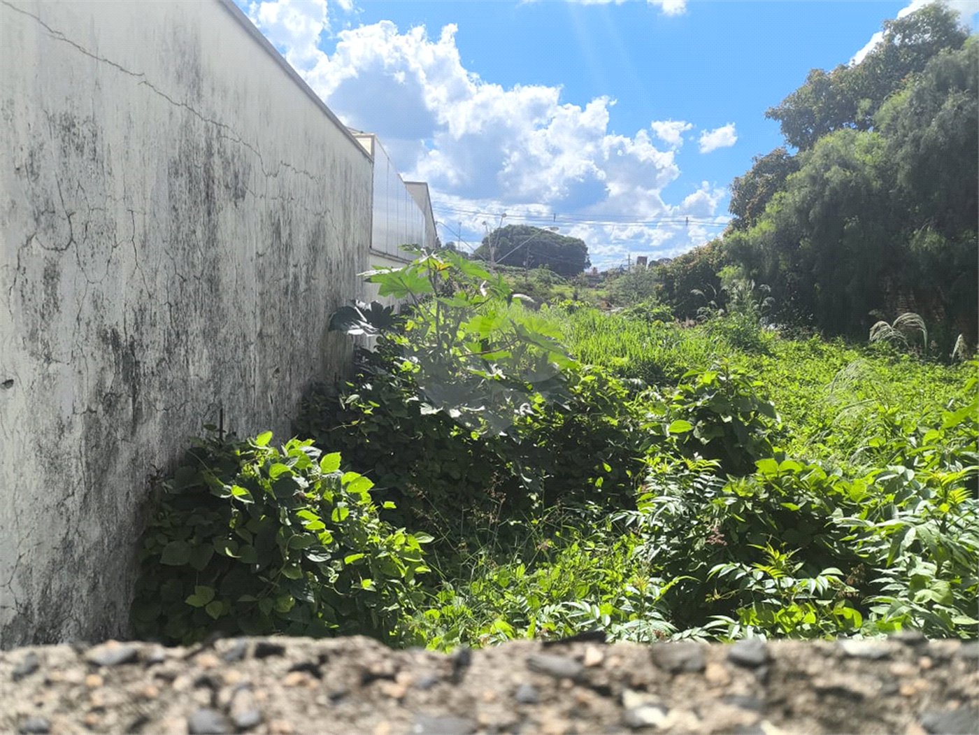 Terreno no Jardim Ricetti São Carlos - SP
