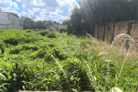 Terreno no Jardim Ricetti São Carlos - SP