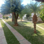 Casa térrea para venda ou locação no Parque Estancia Suíça.