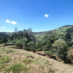 Área rural em Piracaia com 3.289 metros, ótima para chácara, as margens do rio Cachoeira