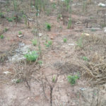 Lote no Jardim do Bosque, aceita financiamento ou aquisição de terreno e construção .